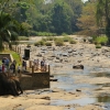 Zdjęcie ze Sri Lanki - to miejsce, gdzie schronienie znalazły małe słoniątka porzucone lub osierocone przez swoje matki. 