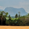 Zdjęcie ze Sri Lanki - słoniki mają tu piękne widoki na okoliczną przyrodę