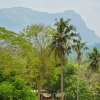 Zdjęcie ze Sri Lanki - Pinnawala