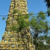 Zdjęcie ze Sri Lanki - hinduistyczna świątynia w Matale