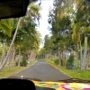 Zdjęcie z Nowej Kaledonii - W drodze do Yejele Beach