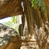 Zdjęcie ze Sri Lanki - dawno nie było schodeczków:), więc idziemy do góry...:)