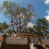 Zdjęcie ze Sri Lanki - Anuradhapura- i święte drzewo Bodhi