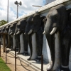 Zdjęcie ze Sri Lanki - 355 słoniowych głów wokół dagoby