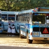 Zdjęcie ze Sri Lanki - kilka autobusów dzieciaków chyba z połowy Sri Lanki