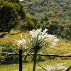 Zdjęcie ze Sri Lanki - Przed nami Park narodowy Równiny Hortona