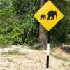Zdjęcie ze Sri Lanki - bardzo lubię wszelkie takie nietypowe znaki drogowe:)