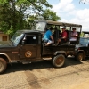 Zdjęcie ze Sri Lanki - pakujemy się do takich 6 osobowych jeepów i w drogę:)