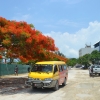 Zdjęcie z Vanuatu - Ulica Port Vila. jak widac bez asfaltu :)