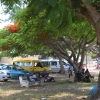 Zdjęcie z Vanuatu - Vanuatczycy oblegaja wszystkie zacienione miejsc