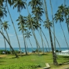 Zdjęcie ze Sri Lanki - Merissa