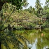 Zdjęcie ze Sri Lanki - spacer nad hotelowymi jeziorkami...