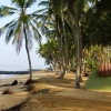 Zdjęcie ze Sri Lanki - ....