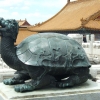 Zdjęcie z Chińskiej Republiki Ludowej - żółwio-smok