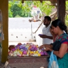 Zdjęcie ze Sri Lanki - świątynia w Kandy