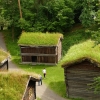 Zdjęcie z Norwegii - urocze dachy norweskich domów, które bedziemy ogladac jeszcze wielokrotnie 