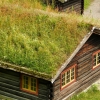 Zdjęcie z Norwegii - eko-dachy, tzw Torvtak