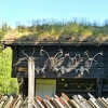 Zdjęcie z Norwegii - ijamy fajny domek z ciekawym płotem ze starych nart:)