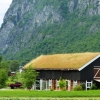 Zdjęcie z Norwegii - chyba rozwalimy dachówkę na dachu naszego domu i też sobie trawkę posiejemy:))