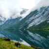 Zdjęcie z Norwegii - karmienie fiordów nad Kjosnesfjorden:)