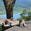 Zdjęcie z Indonezji - W drodze do punktu widokowego Twin Lake
