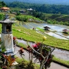 Zdjęcie z Indonezji - Kapliczka na polach ryzowych Jatiluwih