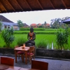 Zdjęcie z Indonezji - Knajpka tuz przy polu ryzowym