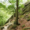 Zdjęcie z Polski - wokół wszędzie śliczności - granitowy las... jak to w Karkonoszach