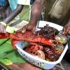 Zdjęcie z Vanuatu - Owoce Morza oferowane przez tubylcow po zawrotnych cenach :)