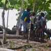 Zdjęcie z Vanuatu - Kawal klody i miejscowe dzieciaki maja hustawke :)