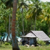Zdjęcie z Vanuatu - Vanuacka wies