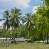Zdjęcie z Vanuatu - Vanuacka wies