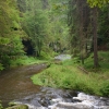 Zdjęcie z Czech - Wąwóz rzeki Kamenice