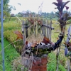 Zdjęcie z Indonezji - Kapliczka na polach ryzowych