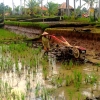 Zdjęcie z Indonezji - Co by nie bylo, ze traktorow nie maja :)