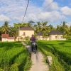 Zdjęcie z Indonezji - Na balijskiej wsi...spotkanie turystow :)