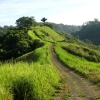 Zdjęcie z Indonezji - Na szlaku Campuhan