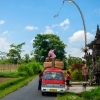 Zdjęcie z Indonezji - Na balijskiej wsi