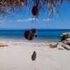 Zdjęcie z Grecji - Nea Fokea-Aristoteles Beach