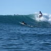 Zdjęcie z Indonezji - surfing