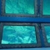 Zdjęcie z Cypru - szklane dno statku ukazuje nam zatopiony wrak
