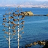 Zdjęcie z Cypru - ...