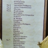 Zdjęcie z Cypru - lista 26 Świętych, których relikwie znajdują się w tym klasztorze