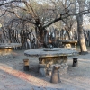 Zdjęcie z Namibii - Roy`s Camp