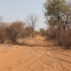 Zdjęcie z Namibii - w drodze do buszmenow