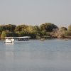 Zdjęcie z Namibii - Rejs po Zambezi