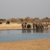 Zdjęcie z Namibii - Hwange NP