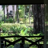 Zdjęcie z Tajlandii - Widok z pokoju na ogród