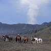 Zdjęcie z Indonezji - Wyspa Jawa - w drodze na wulkan Bromo