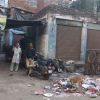 Zdjęcie z Indii - poranna toaleta